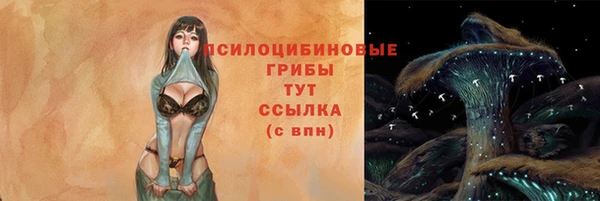 скорость Алексин