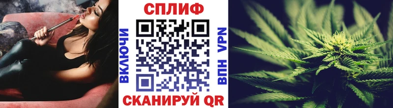 Шишки марихуана THC 21%  купить закладку  Новоалтайск 